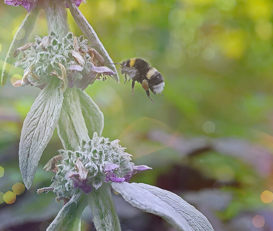 Полёт. - Марина Леонидовна