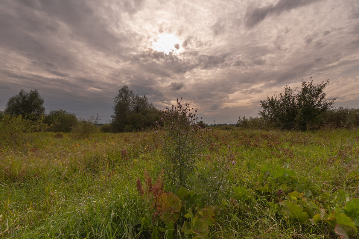 ... - василий 