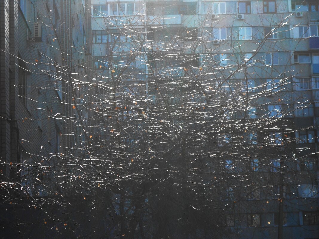 был март - Елена Шаламова