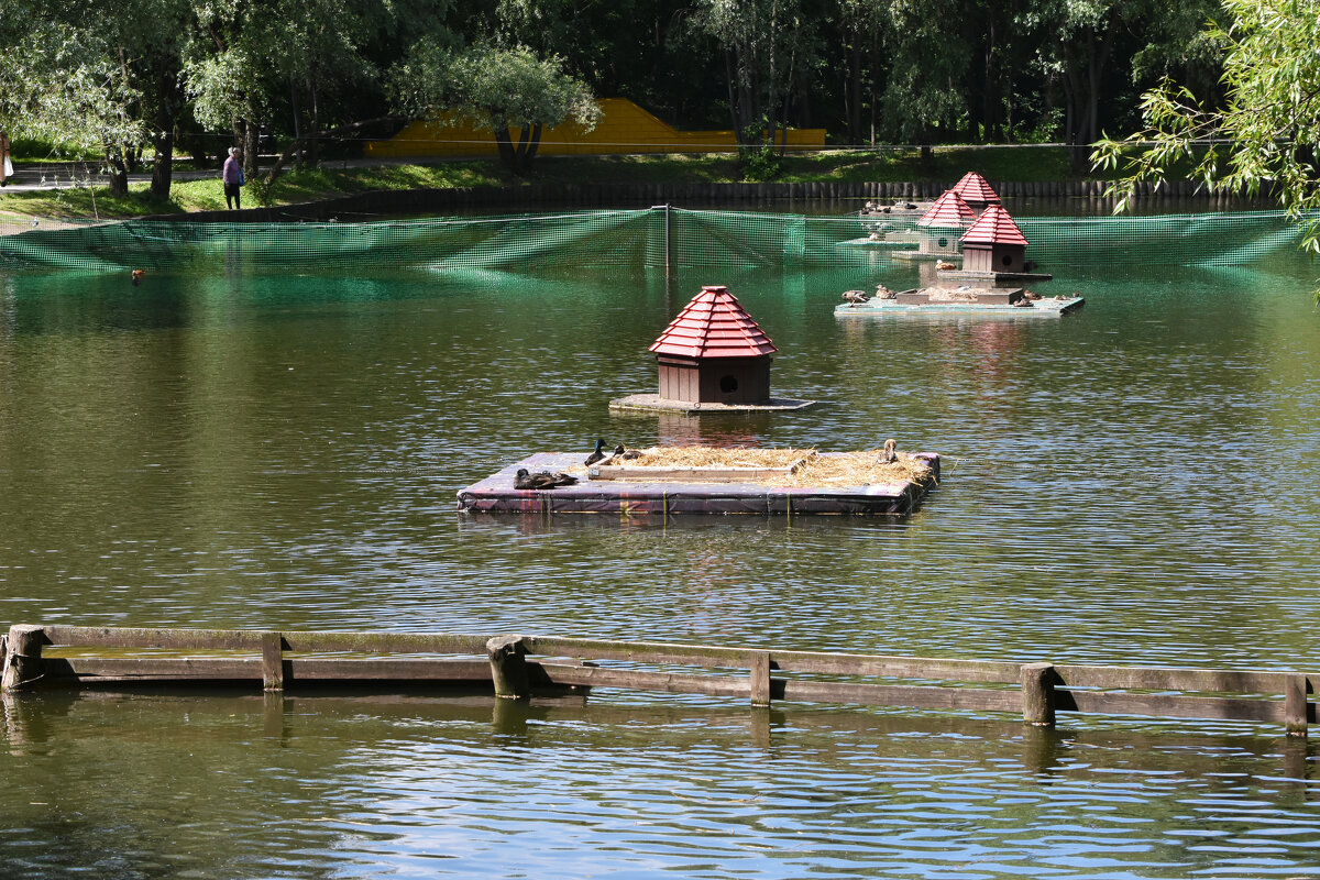 Москва. Сад будущего. - Наташа *****