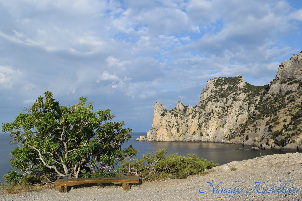 Природа Крыма - Amazing Cosmea