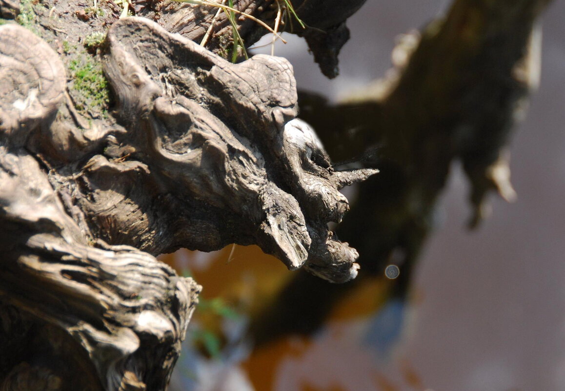 ТАК ЗЛОСТИ ЖЕРТВОЙ БУДЬ ЖЕ ТЫ МОЕЙ - Юрий Вовк