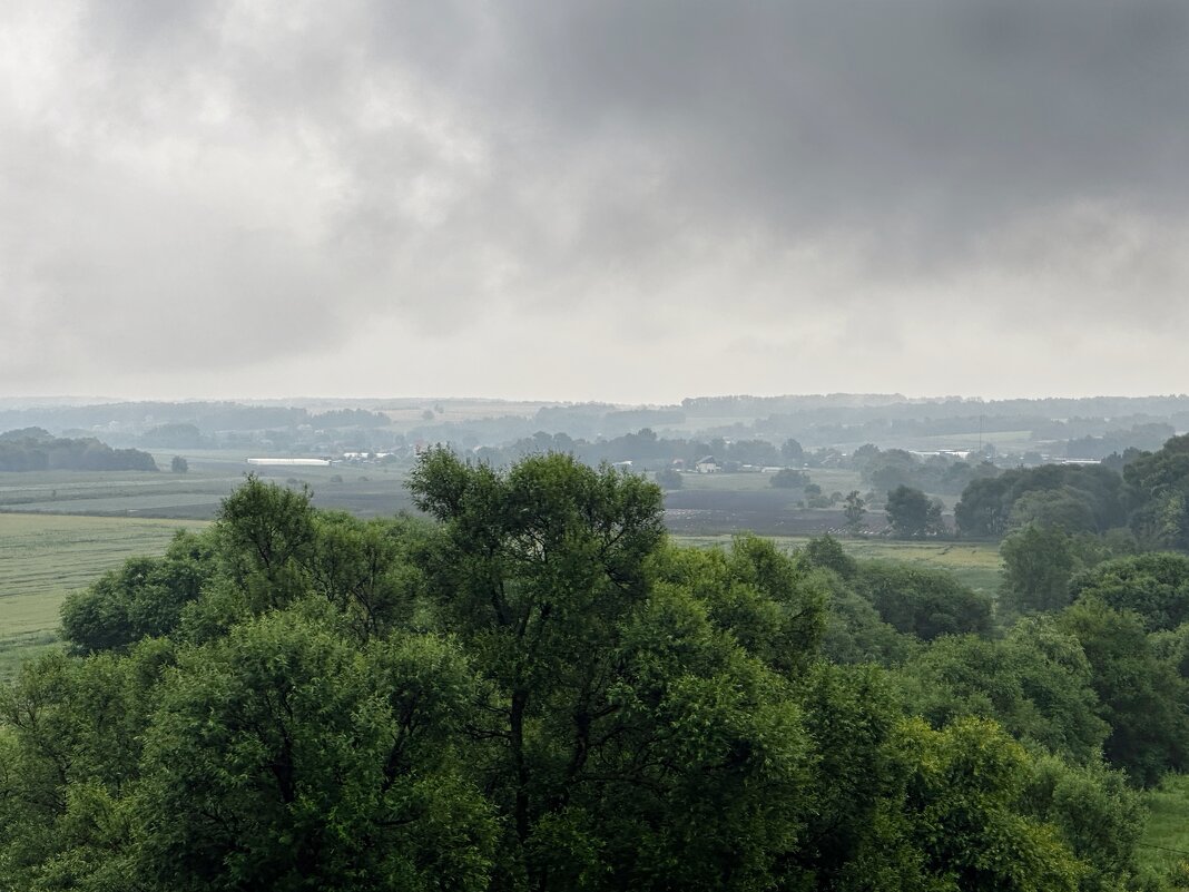 Дождливый рассвет - Андрей Андросов