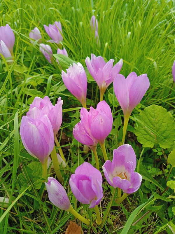 Протягивая руки к звездам, люди часто забывают о цветах под ногами. - Vladimir Semenchukov Протягивая руки к звездам, люди часто забывают о цветах под ногами. - Vladimir Semenchukov