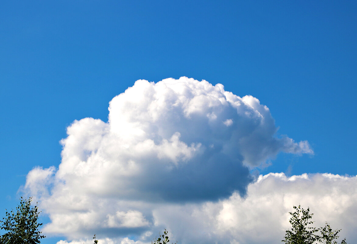 Неведома зверушка по небу бежит... - Светлана 