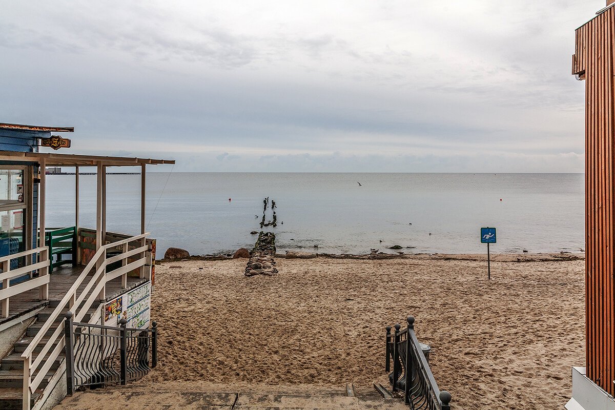 Пионерский - Дмитрий 