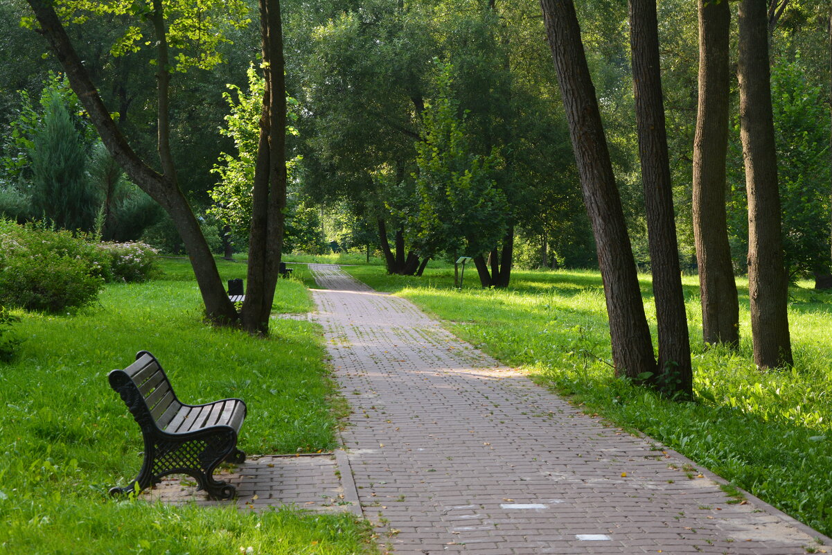Парковая дорожка - Александр Буянов Парковая дорожка - Александр Буянов