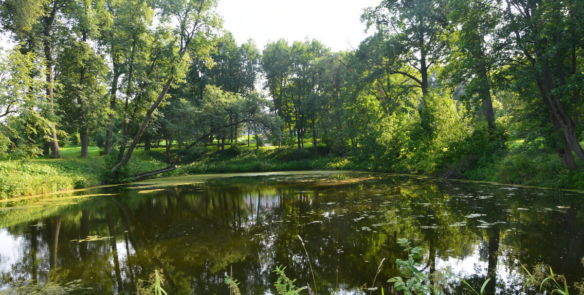 Средний пруд (панорама) - Александр Буянов