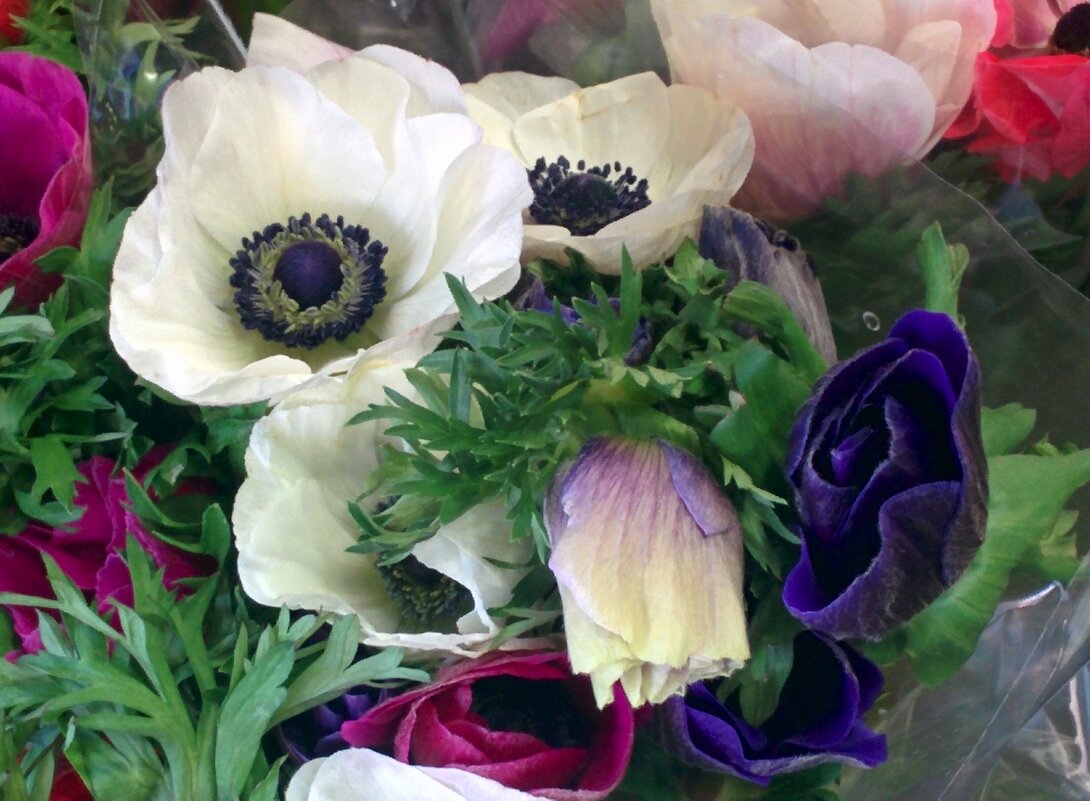 " - Светлана Хращевская