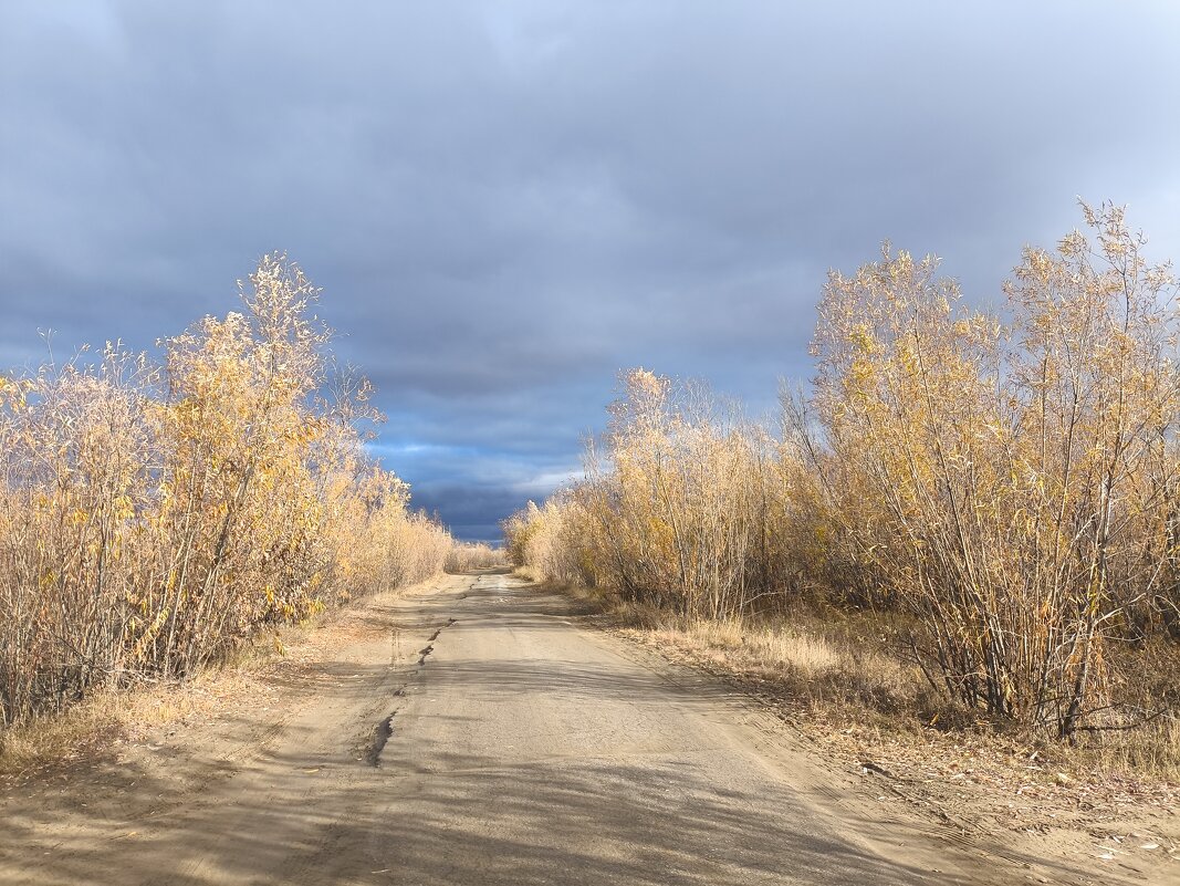 Осень - Anna Ivanova