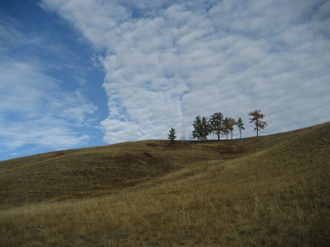 Осень - Anna Ivanova