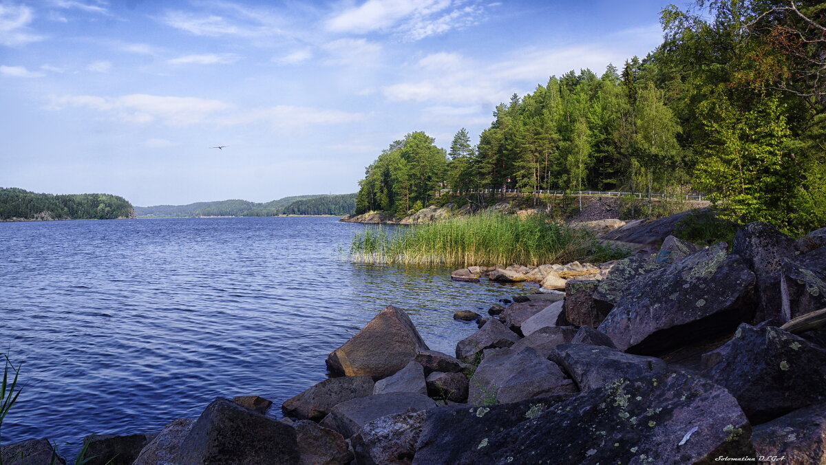 мыс - Ольга Cоломатина