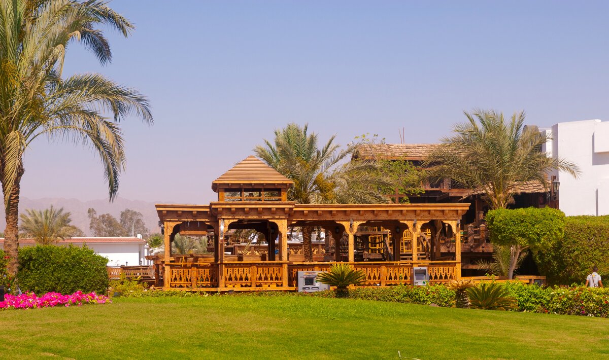 Египет - Андрей 