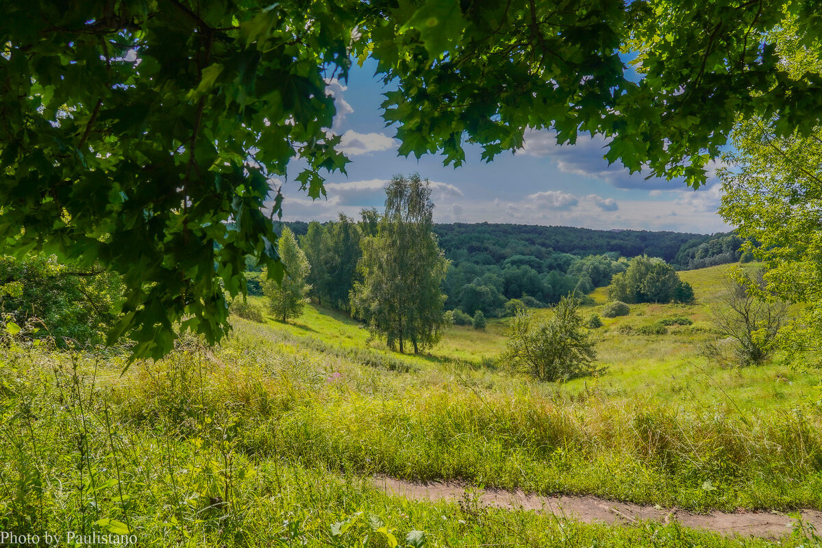 Август в Царицыно... - Владимир Жданов