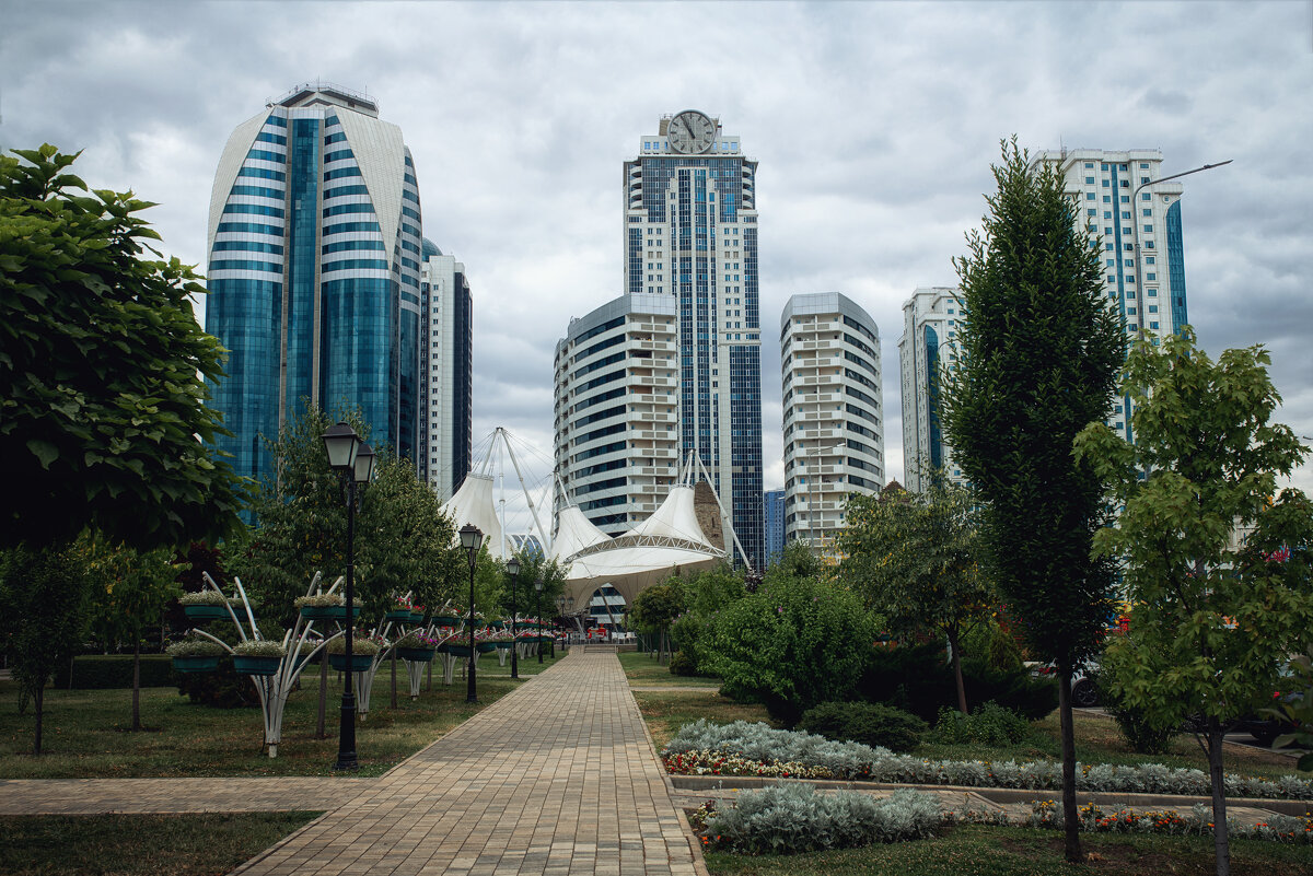 Грозный сити - Лилия . Грозный сити - Лилия .