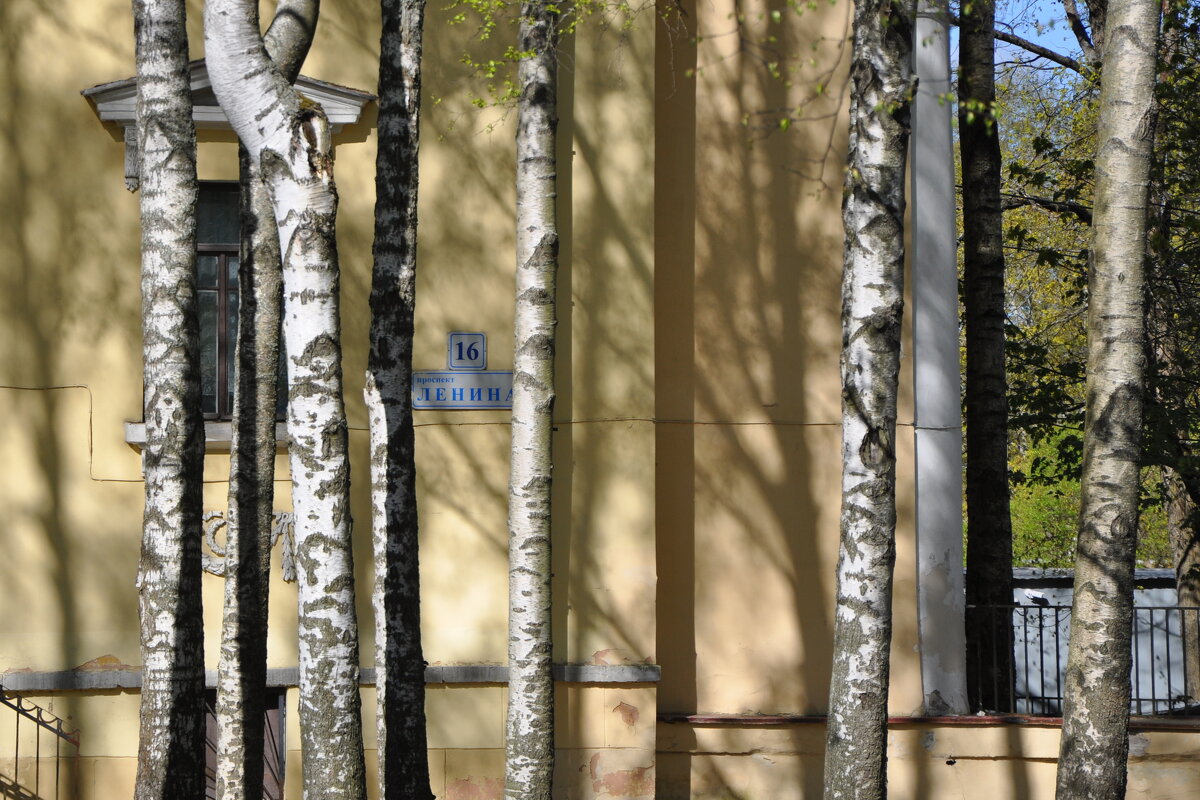 Старые стены - Татьяна Машошина