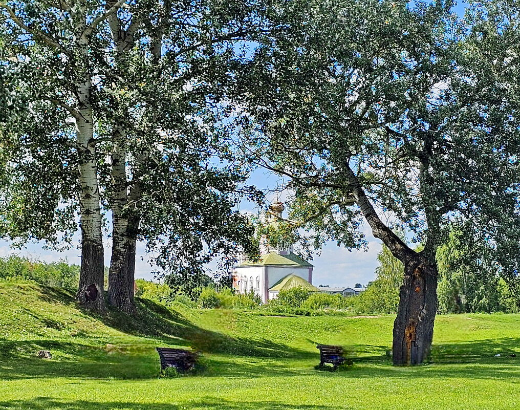 Суздаль - Михаил Свиденцов