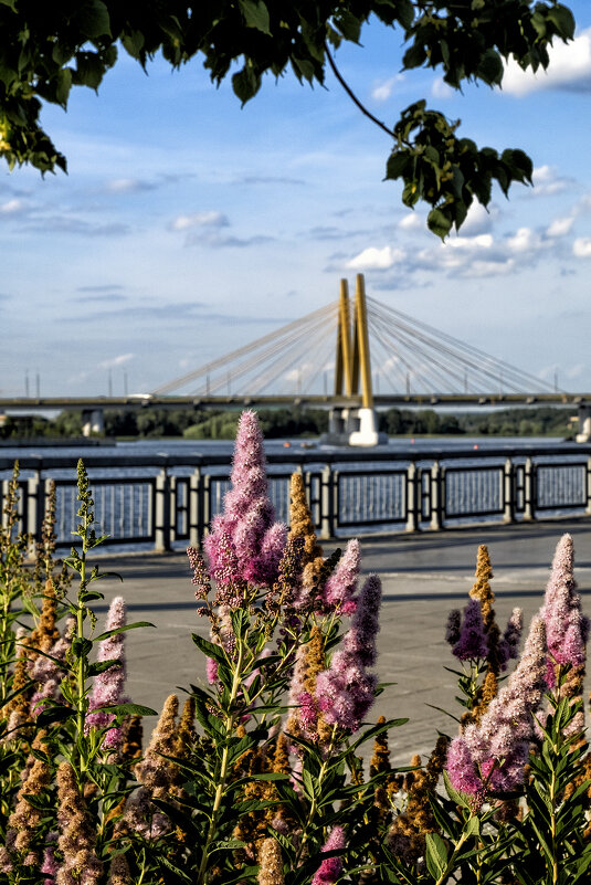 Открыточка из Казани ;-) - Алексей Пышненко Открыточка из Казани ;-) - Алексей Пышненко