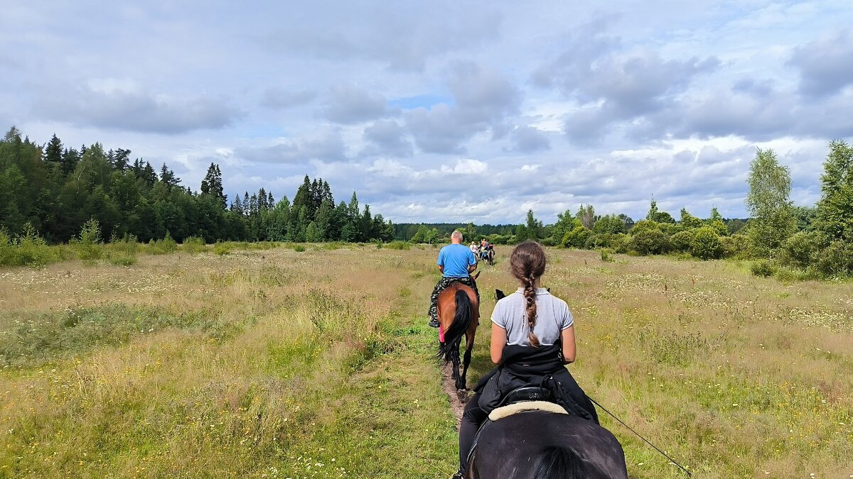 В полях. - Ольга 