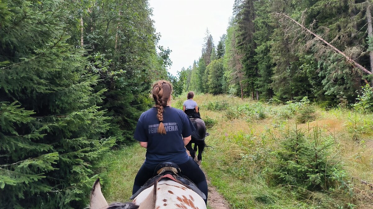 По лесным дорожкам. - Ольга По лесным дорожкам. - Ольга