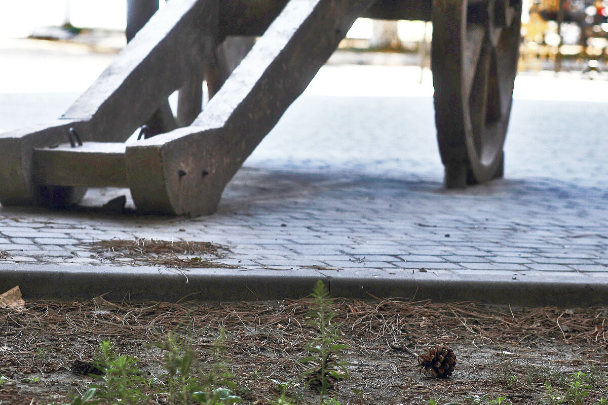 Шишки и орудие - Юрий Гайворонскiий Шишки и орудие - Юрий Гайворонскiий