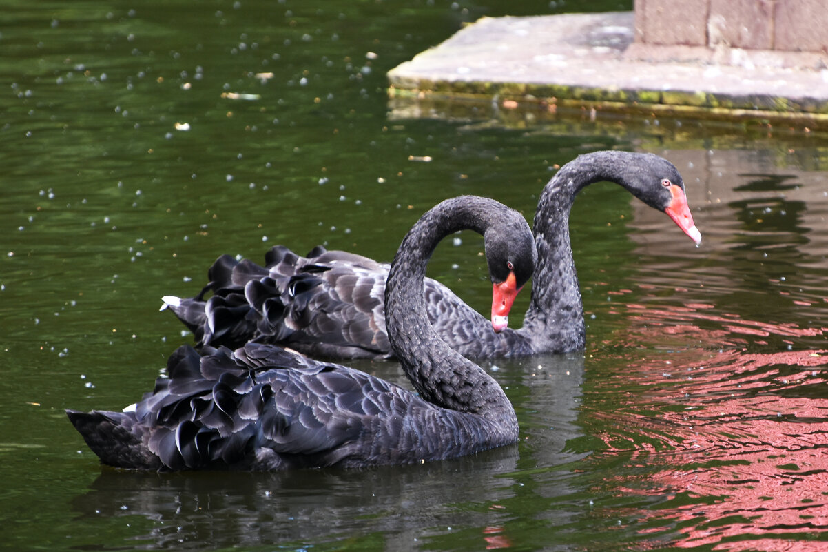 Москва. Сад будущего. Пара... - Наташа ***** Москва. Сад будущего. Пара... - Наташа *****