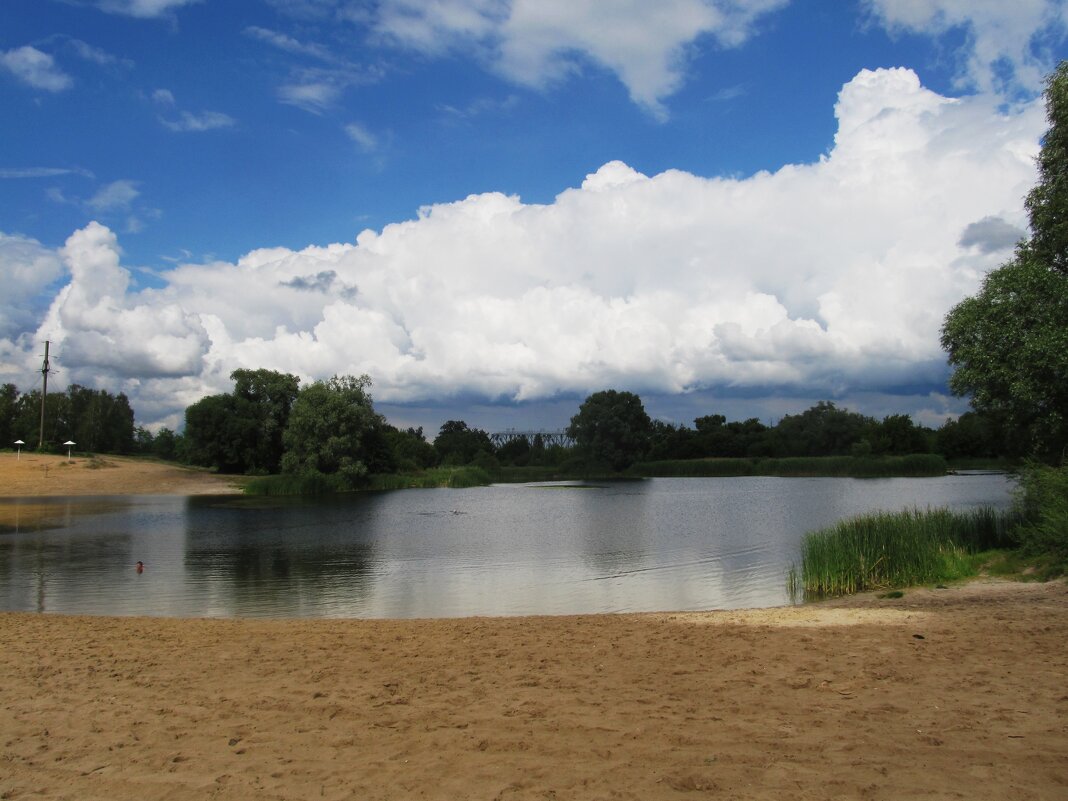 Усманка - Елена Шаламова