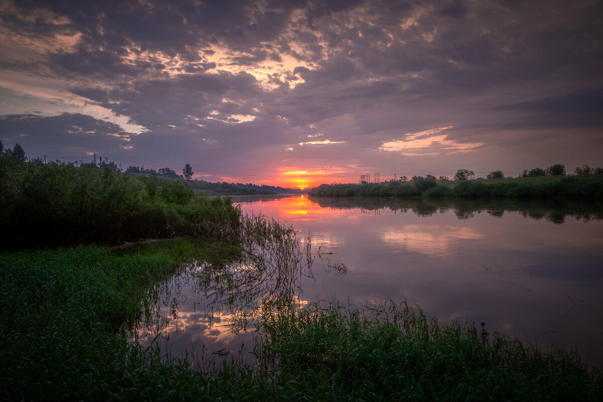 **** - Елизавета .
