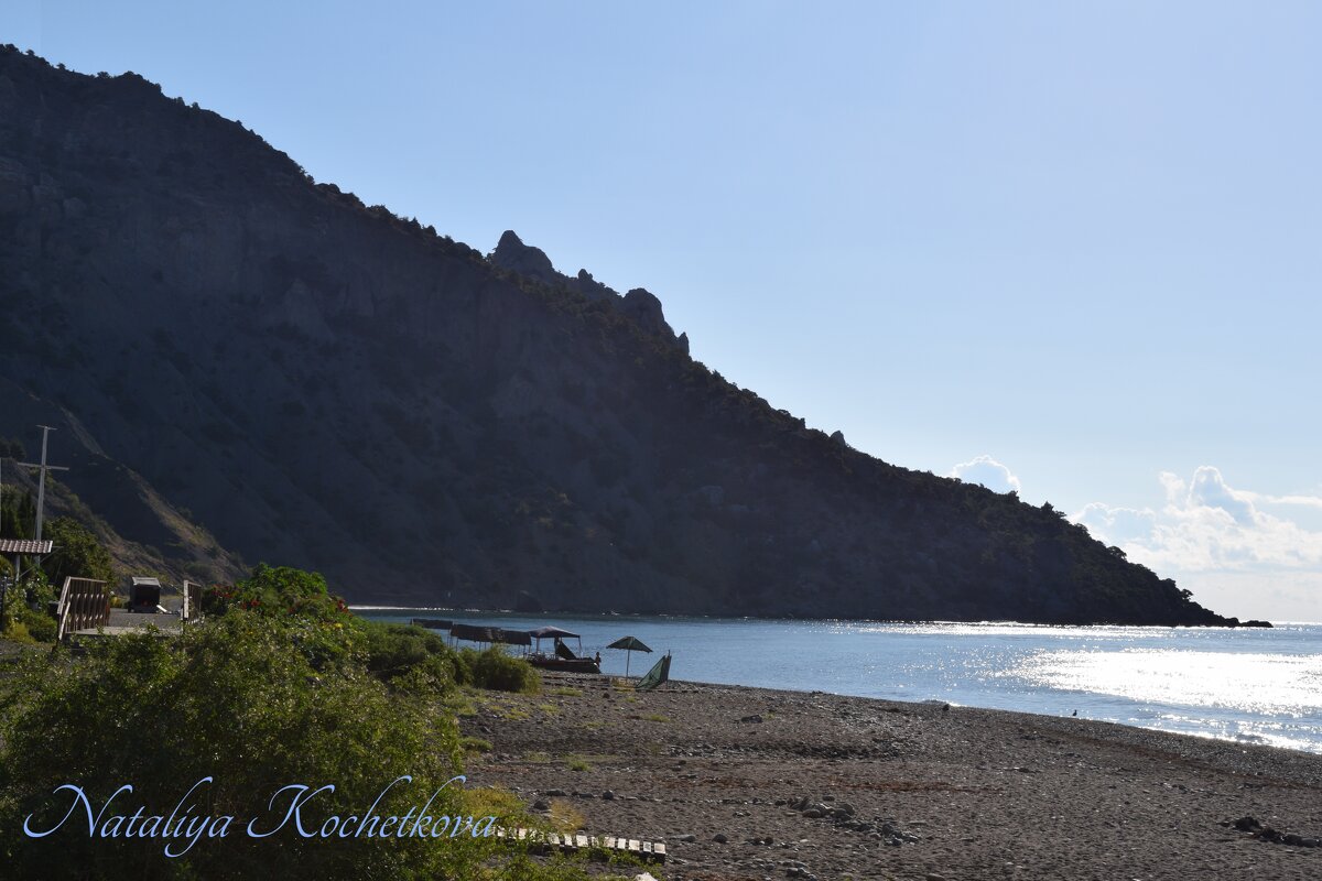 Природа Крыма - Amazing Cosmea Природа Крыма - Amazing Cosmea