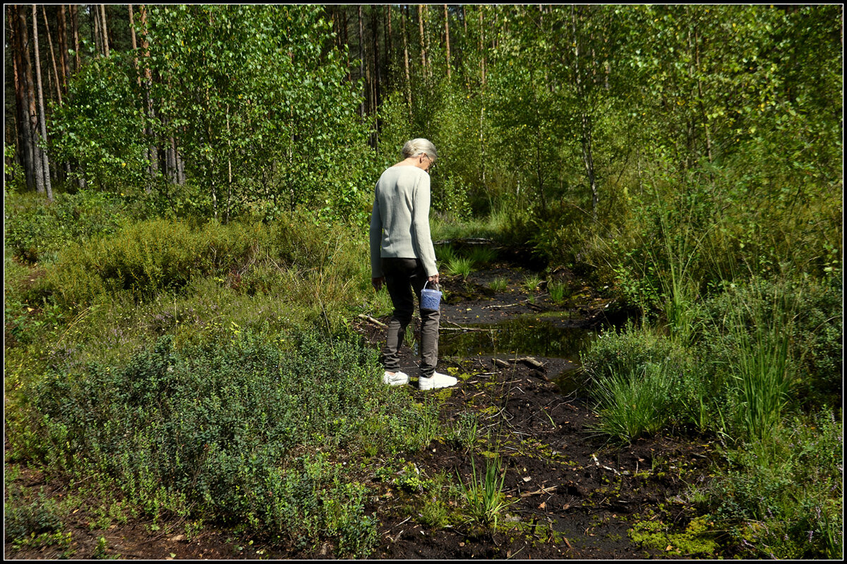 за дарами природы.... - Aleksandr Gal