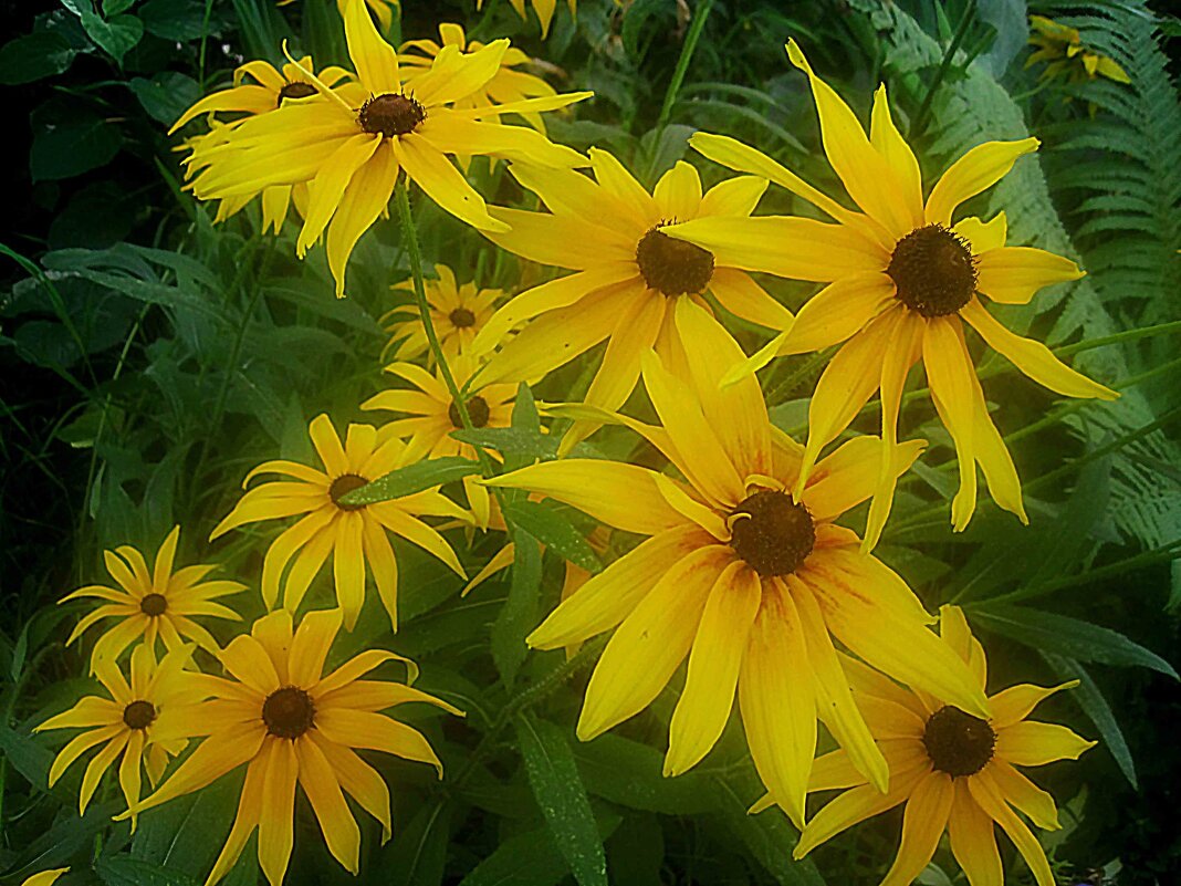 Летние - Елена Семигина