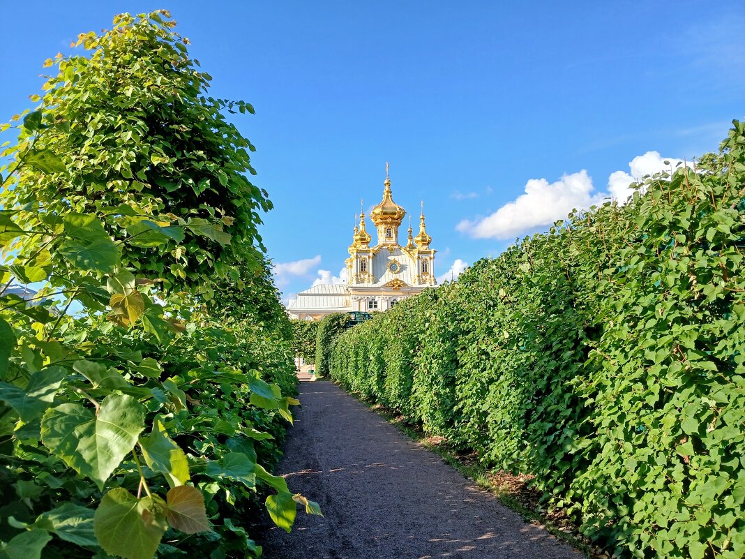 Верхний сад. - Лия ☼