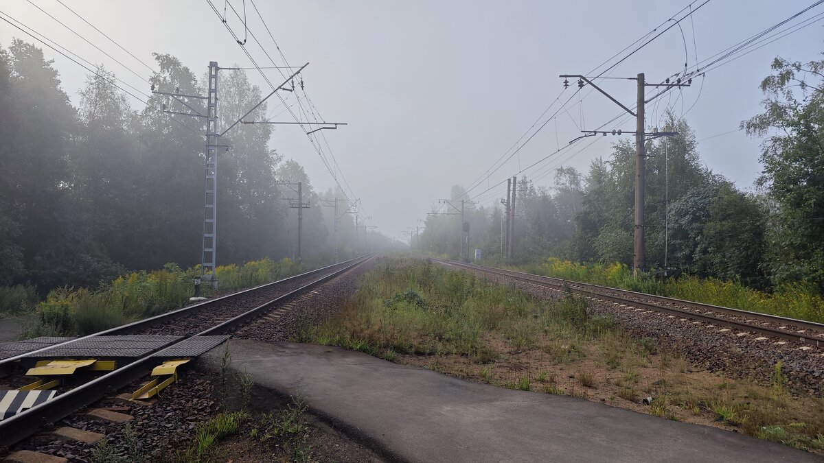 Туманное, утро... - Станислав Мутовин