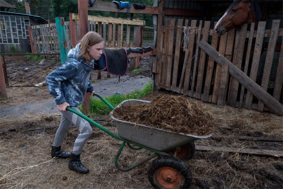 *** - Валерий Михмель 
