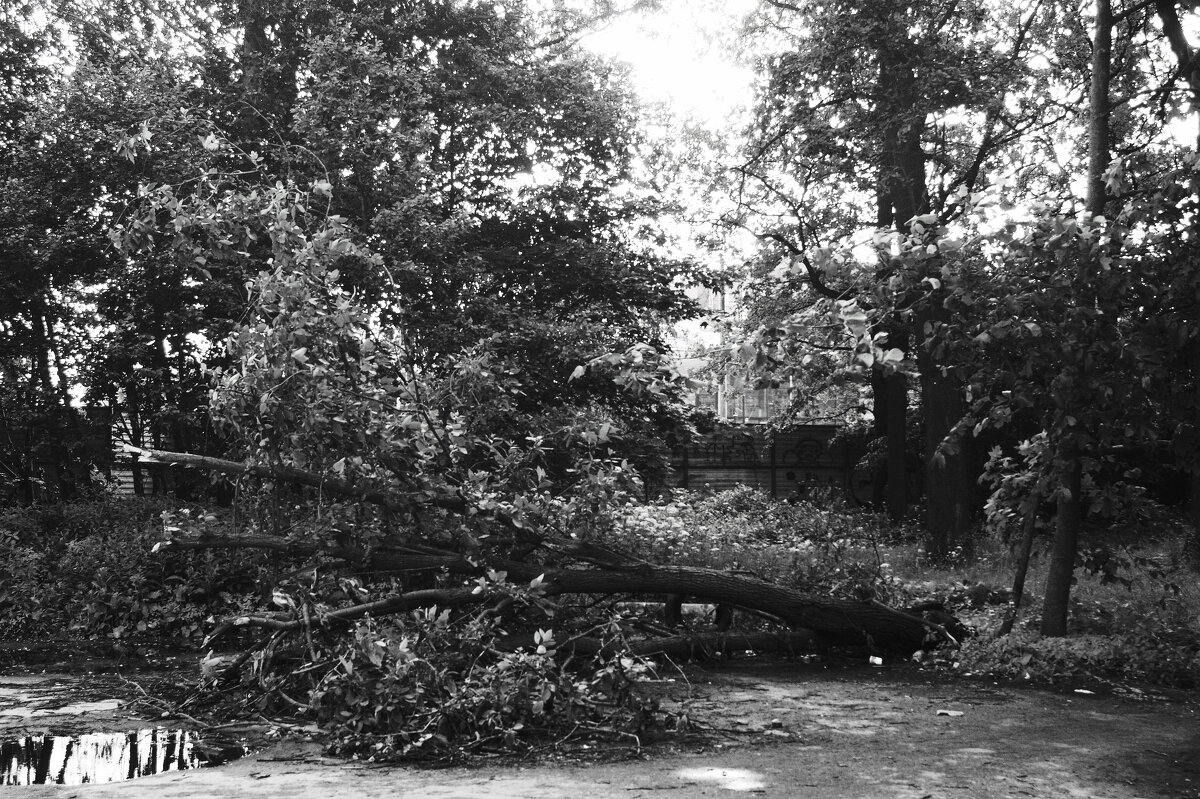 ПОСЛЕ БУРИ - Виктор Никитенко