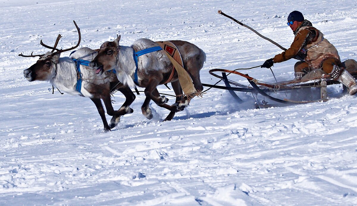 Стремление к победе - Александр Велигура