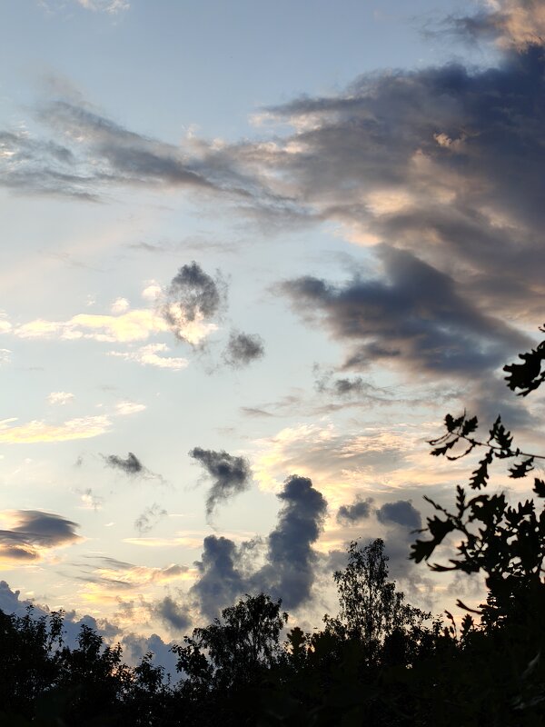 Хорошего вечера - Андрей 