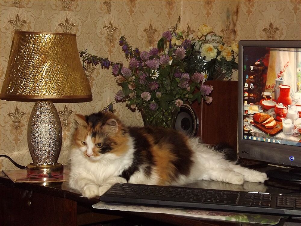 Уютный вечер! - Нина Андронова