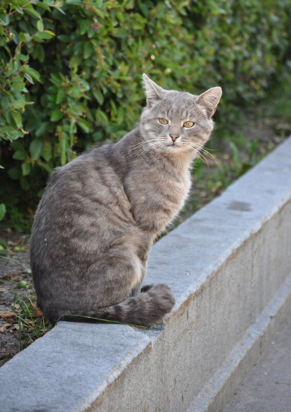 В парке Горького в Москве - Татьяна Машошина