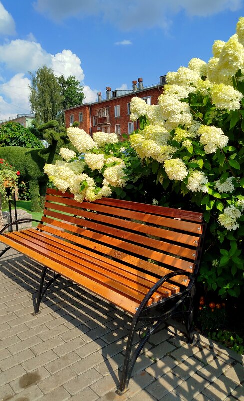 во дворе одного ресторанчика - светлана льдокова