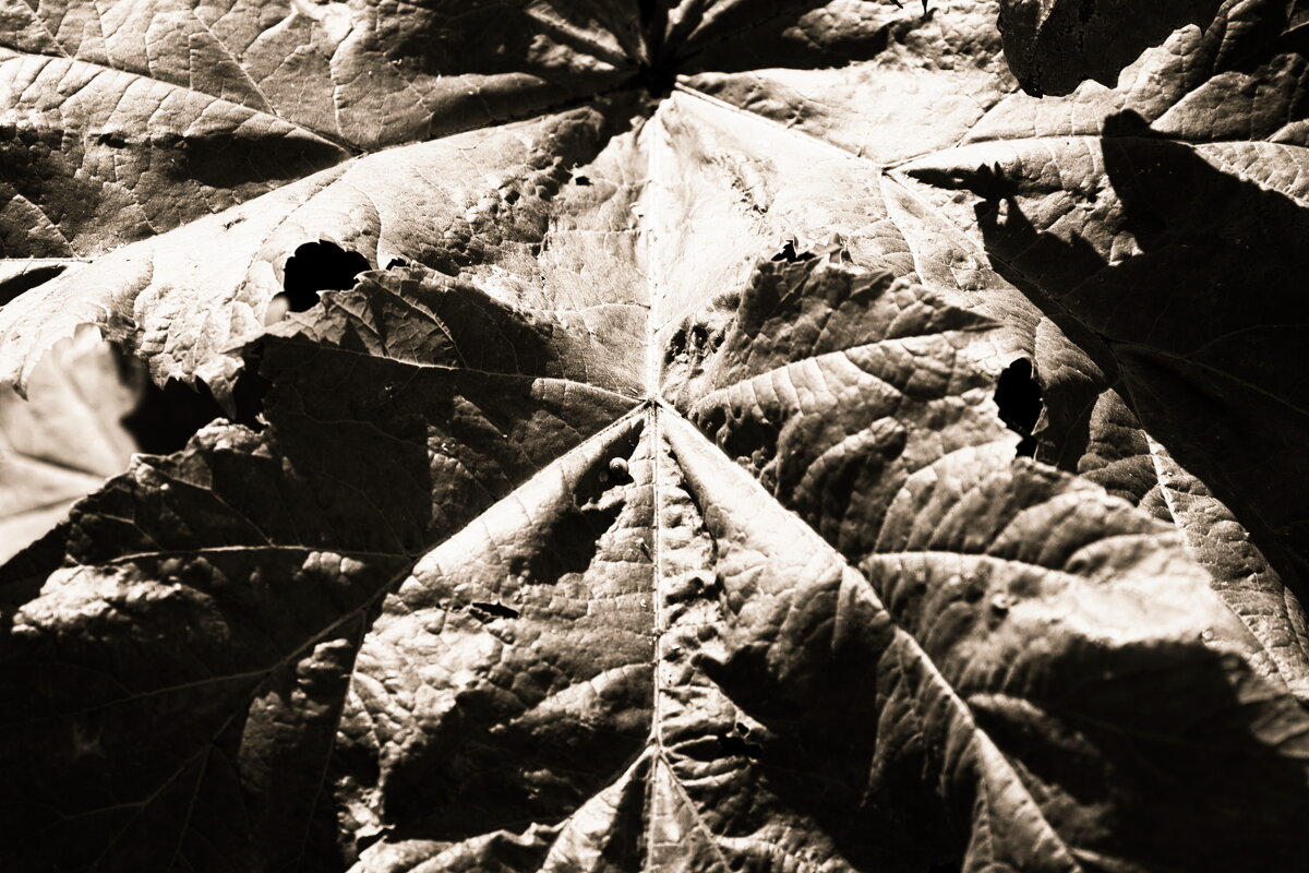 Назва. отсу. - Денис Безногов