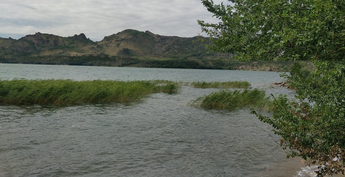 На озере Жасыбай - Андрей Хлопонин На озере Жасыбай - Андрей Хлопонин