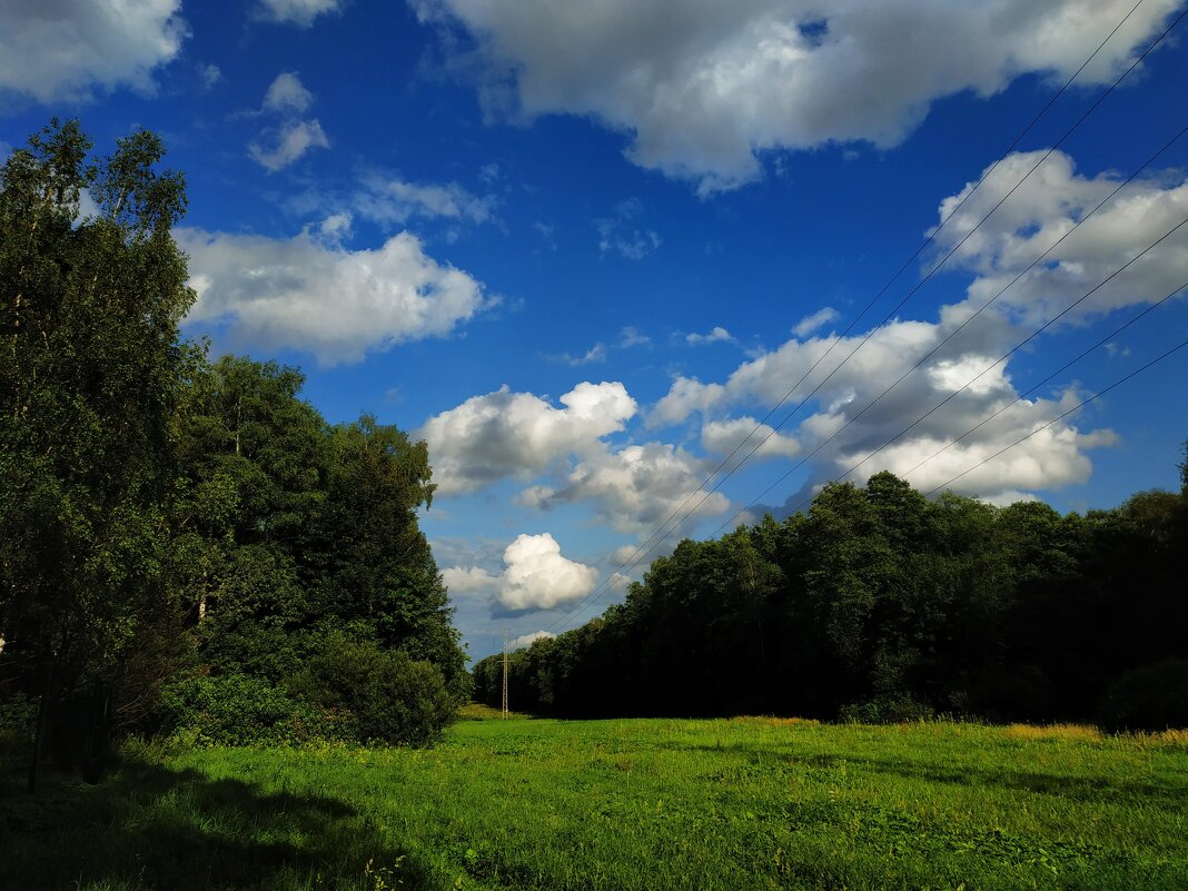 Из недопоказанного вчера - Андрей Лукьянов