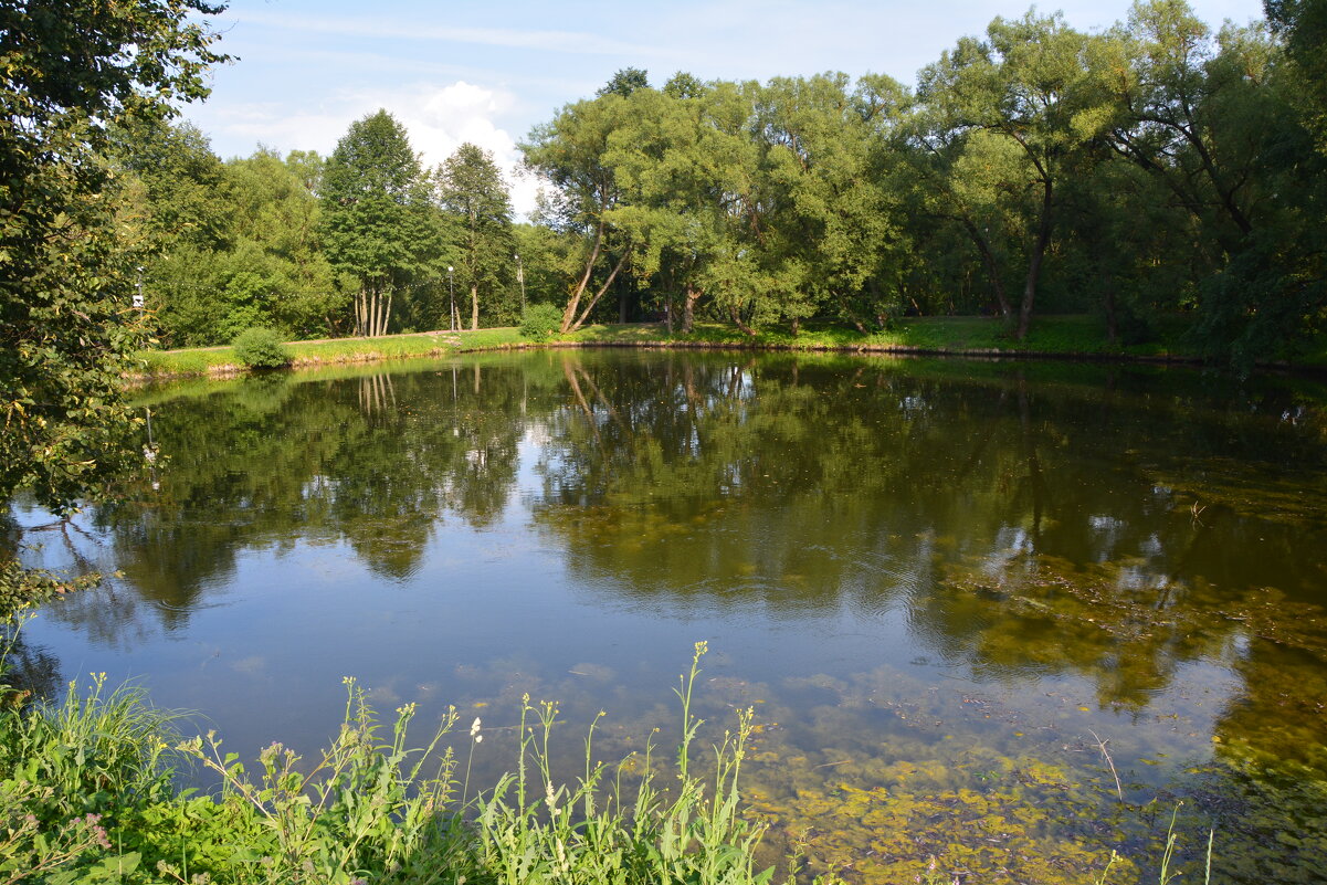 Большой пруд - Александр Буянов