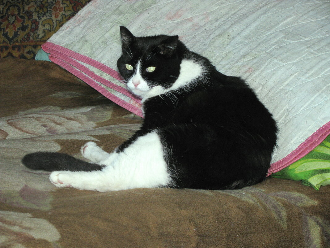 Не мешай мне мыться - Людмила Смородинская Не мешай мне мыться - Людмила Смородинская