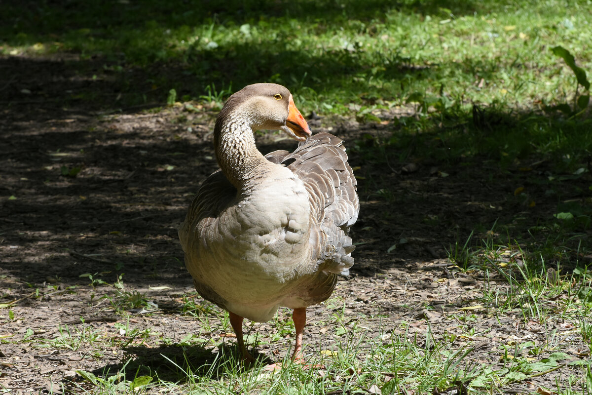 Москва. Сад будущего. - Наташа ***** Москва. Сад будущего. - Наташа *****