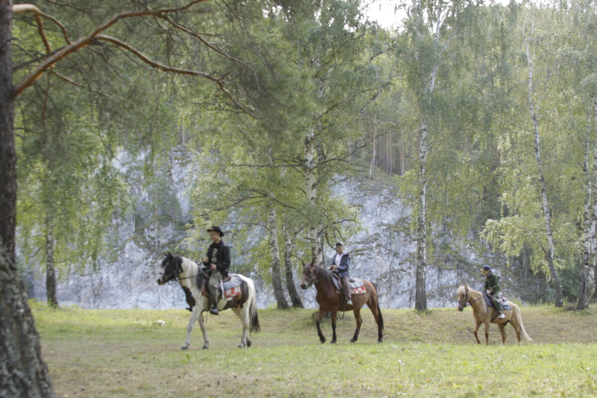 Конная прогулка - Галина Муха