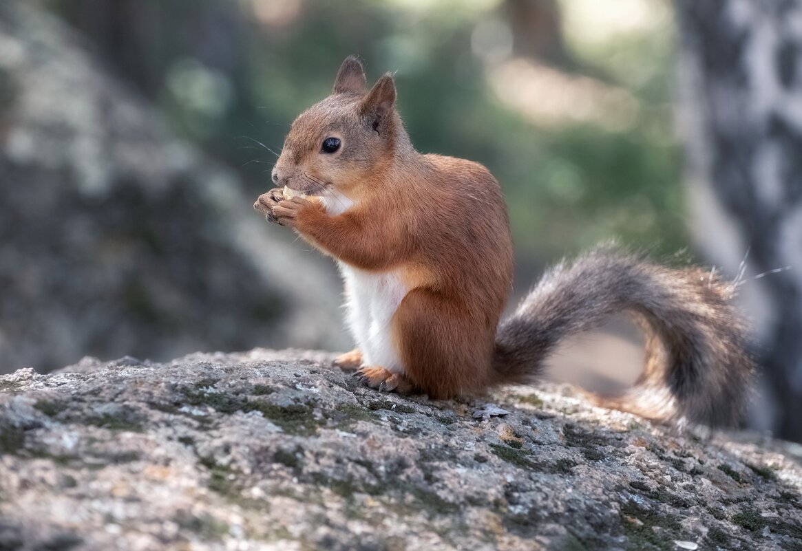 Внимание, улыбочку! - Марина Фомина. Внимание, улыбочку! - Марина Фомина.