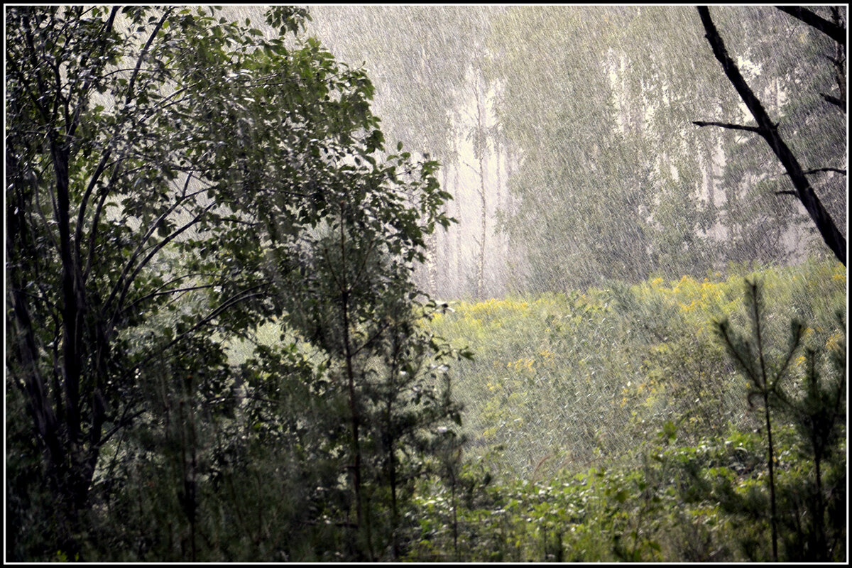 Дождливо.... - Aleksandr Gal