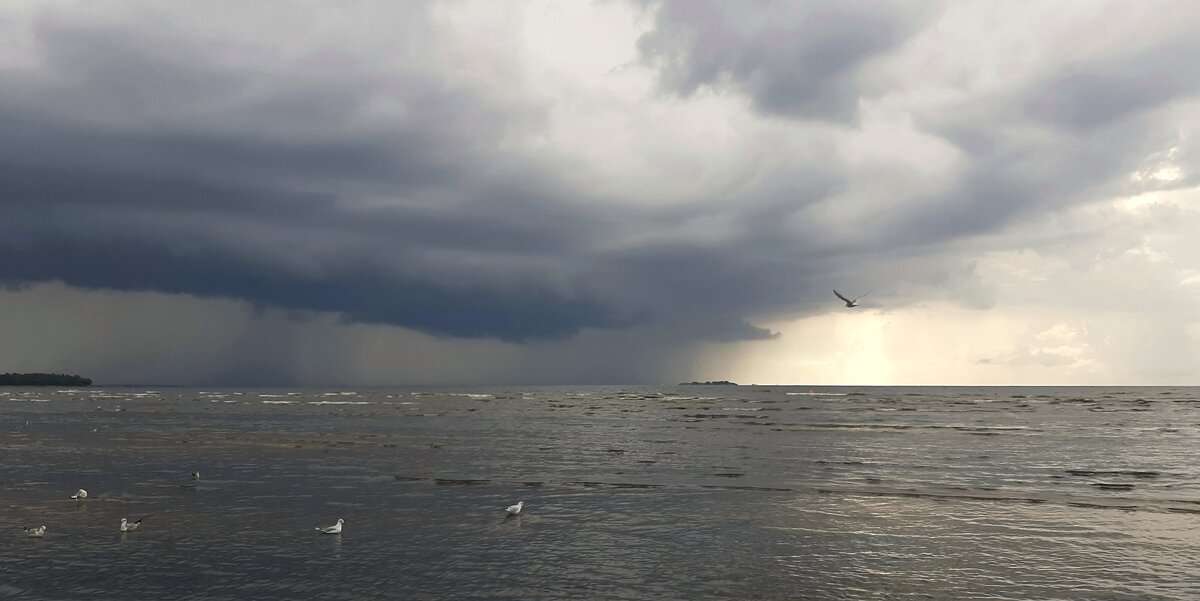 Надвигается гроза - Наталья Герасимова